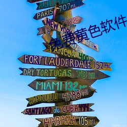 免费黄色(色)软件