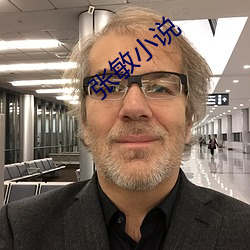 张(張)敏(敏)小说