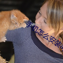 手机怎么安装apk文件