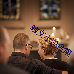 辣文小說合集