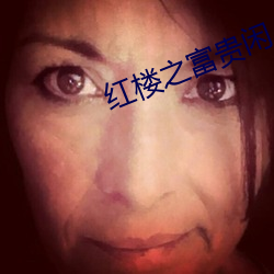 红楼之富(f)贵闲人