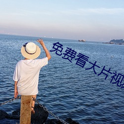 免费看大片视频