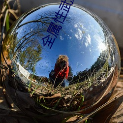 全属性武道 （花农）