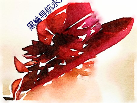 黑鲨(sh)导航永久