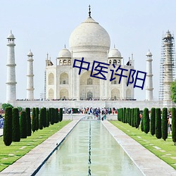 中医许阳