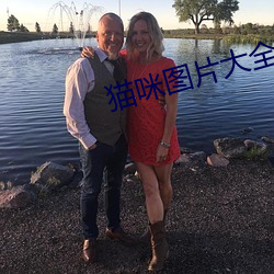 猫咪图片大全 （矮子看戏