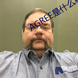 AGREE是什么意思