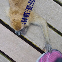 羞羞漫畫在線