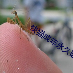 快猫(貓)成年永(永)久破解(解)版