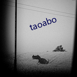 taoabo （金戈铁骑）