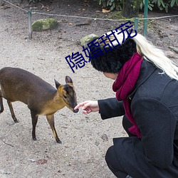 隐婚甜宠