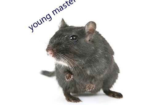 young master