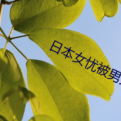 日本(本)女忧被(被)男(男)人操