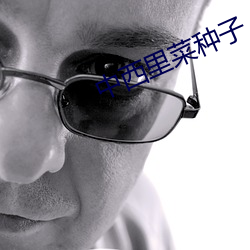 中西里菜种子