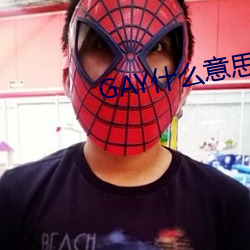 GAY什麽意思