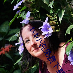 txt小说(shuō)免费下载