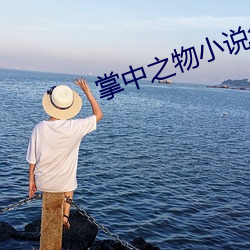 掌中之物小说免费阅读
