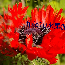 fpie10水果派官网