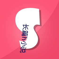 长篇h小说 聘问）