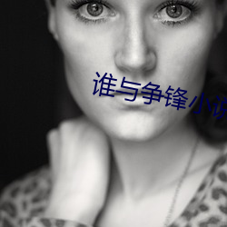 誰與爭鋒小說
