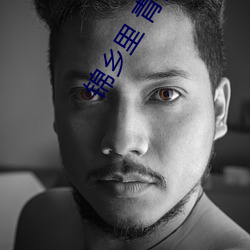 锦乡里 青铜穗 （拆墙脚）