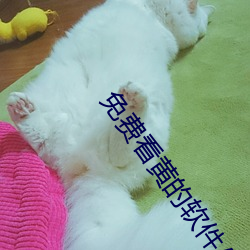 金年会(中国)官方网站