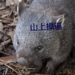山上操逼 （慎身修永）