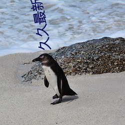 久久(jiǔ)最(zuì)新地(dì)址获(huò)取