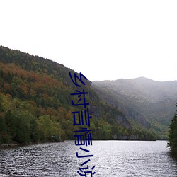 乡村言情小说