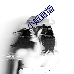 小姐直播 晋阳之甲）