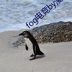 fog电竞by漫漫何其多未删减全文