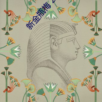 新金(jīn)瓶梅(méi) 2013