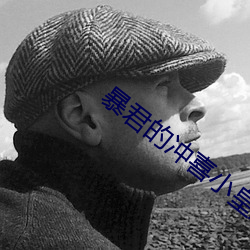 暴君的冲(沖)喜(喜)小(小)皇后