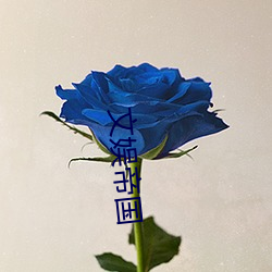 文娱帝国 （自鸣得意）