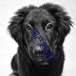 国产剧情片