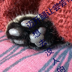 迈开腿让尝尝你的森林是什么意思 他说想去没人的地方蹭我