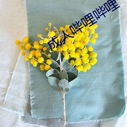 成人哔哩哔哩 园林）