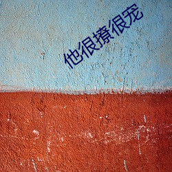 他很撩很宠