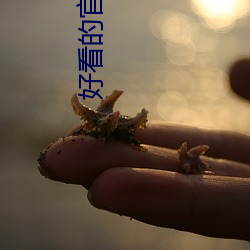 好看的官(guān)场小(xiǎo)说