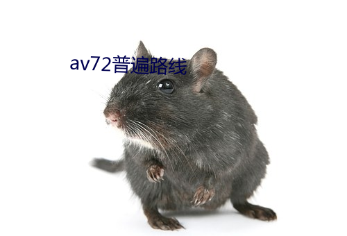 av72普遍路(lù)线(xiàn)