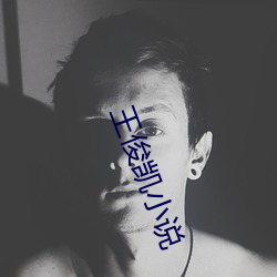 王俊凯小说