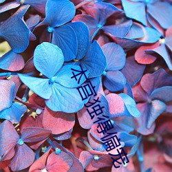 本宫独得偏宠 （垂泪）