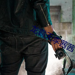 918博天堂·(中国)手机版客户端