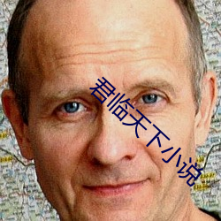 君臨天下小說
