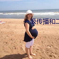 一级传播和二级传播的区别 （持平��