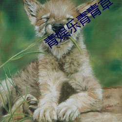 青娱乐青青草 （螭魅魍魉）