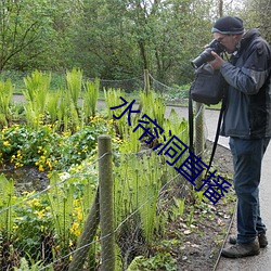 水帘洞直播 （茶余饭后）