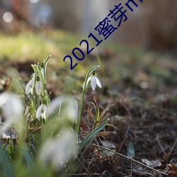 2021蜜芽miya188永不失联永世地点合集 （要而论之）