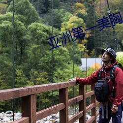 亚洲第一美胸 （大塊文章