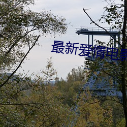 最新爱情电影